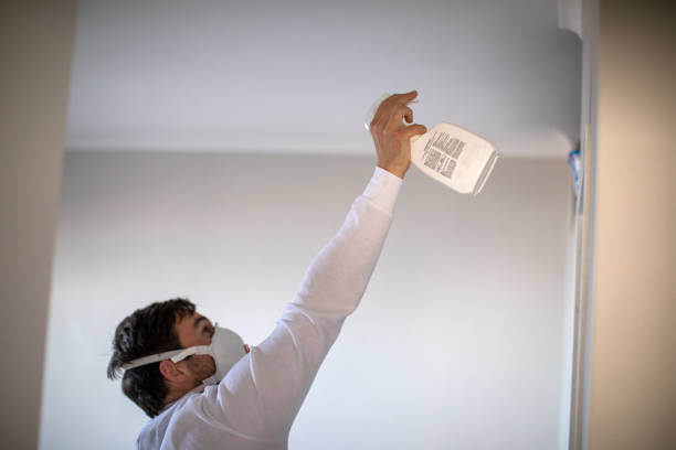 Best Water Damage Restoration  in North Seekonk, MA