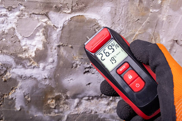 Best Residential Mold Removal  in North Seekonk, MA