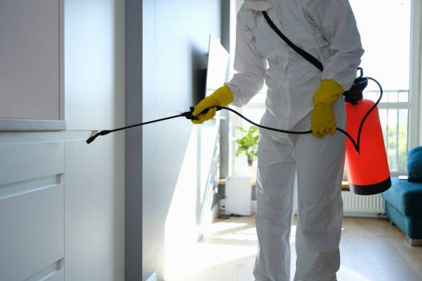 Mold Testing and Removal in North Seekonk, MA